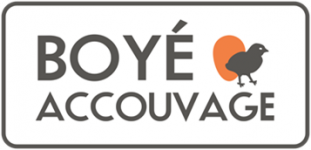 BOYE ACCOUVAGE