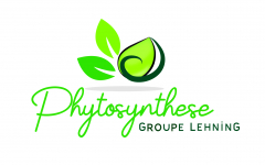 PHYTOSYNTHESE