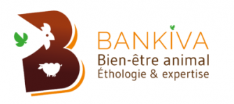 Bankiva