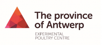 ANTWERP