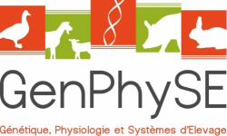 GenPhyse