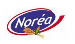 Noréa